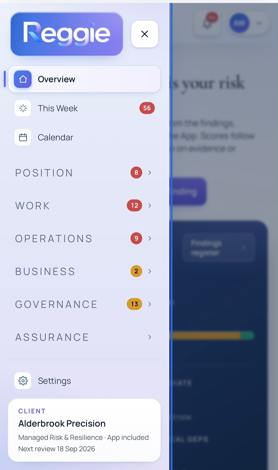 Reggie navigation showing the overview and connected system areas